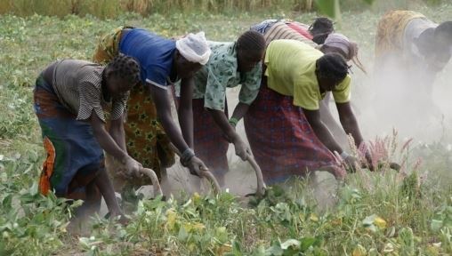 Women ploughing in Burkina Faso (© Manos Unidas)