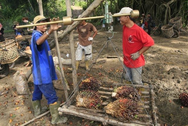 Arbeiter wiegen Ölpalmenfrucht in Indonesien (Photo Sawit Watch)