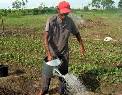 Petit agriculteur à Banda Aceh, Indonésie (Photo CIDSE) Photo CIDSE