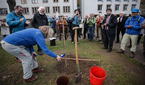 deutsches pilgerbild 3