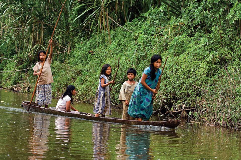 The Amazon natural habitat faces several threats © REPAM