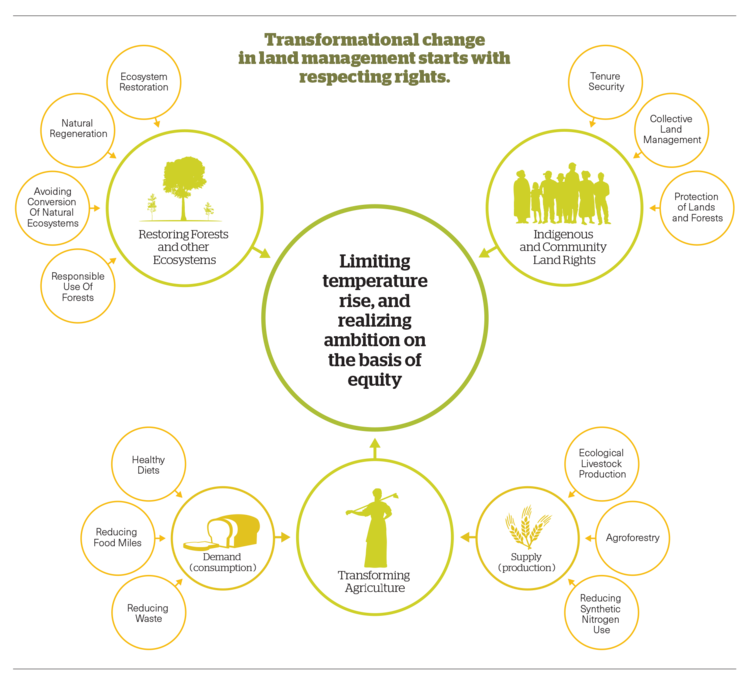 WEB Abbildung 5