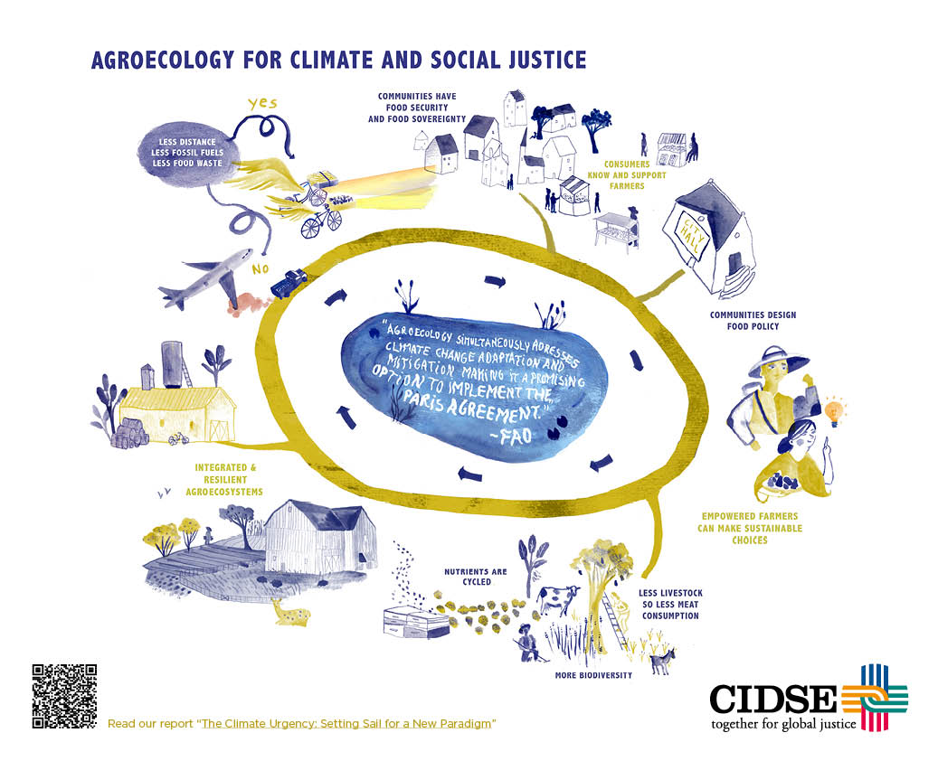 CIDSE LTG Agrarökologie Infografik Web