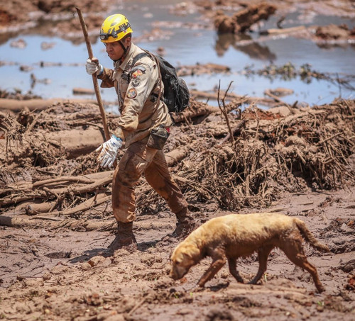 Les sauveteurs de Brumadinho créditent Ricardo Sturk redimensionné